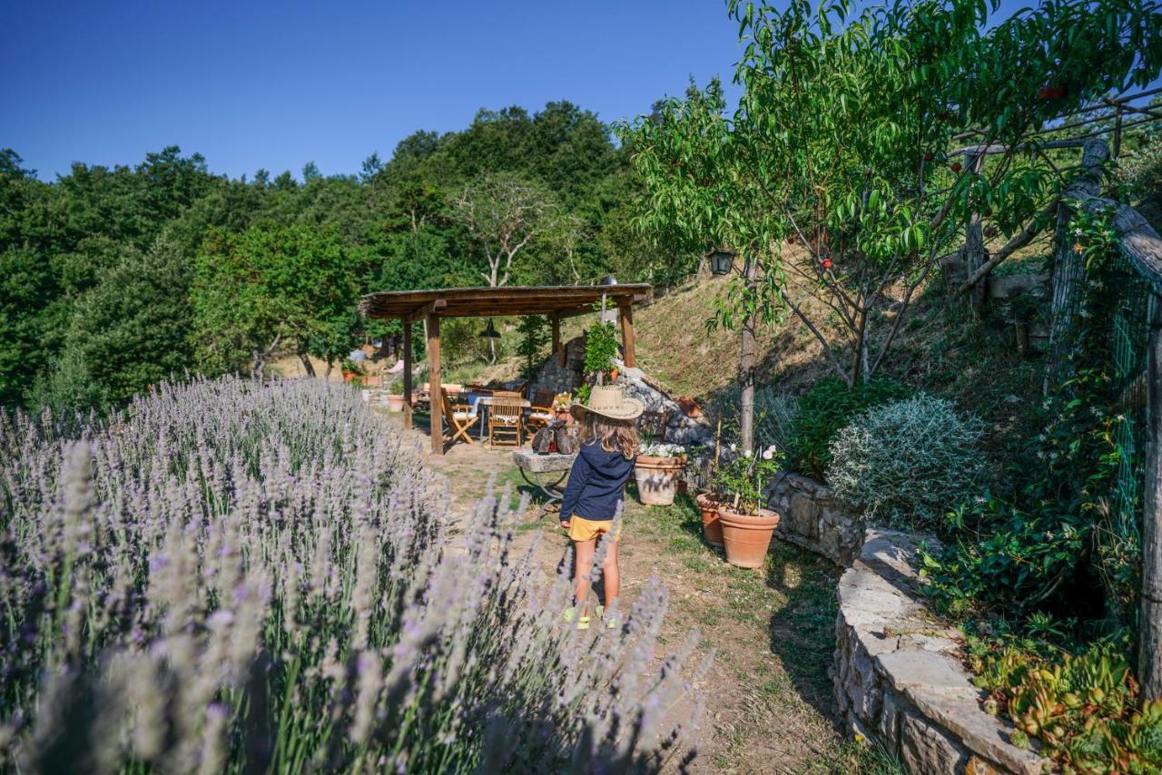 Agriturismo La Colombella Bagni San Filippo Exteriör bild